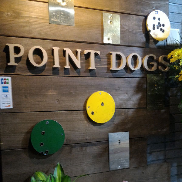 POINT DOGS