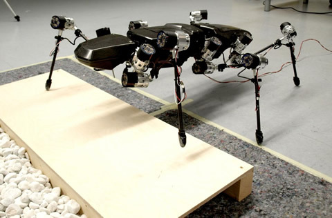 ドイツ大学研究機関、昆虫のような 6 本足のロボット「HECTOR」を開発