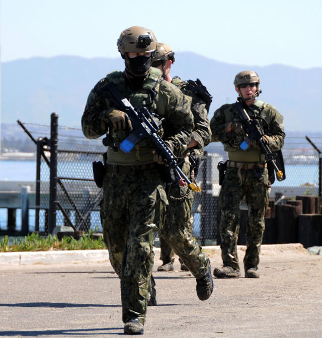 Amazon.co.jp: 米軍海軍特殊部隊Navy seals純金メッキチャレンジ
