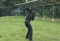 韓国「KNP SWAT」様々な状況を想定した小銃射撃の訓練映像