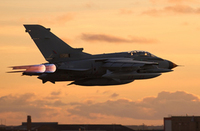 3D プリンタ製パーツを使用した Tornado 戦闘機が初飛行を実施