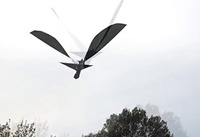 米陸軍の鳥型スパイ・ドローン「Robo-Raven」
