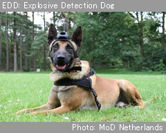 オランダ軍、EDDs による爆発物捜索を導入