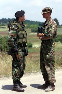 セルビア軍と海外