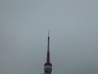 大恐竜展 in 東京タワー に行ってまいりました～