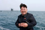 北朝鮮SLBMの写真は、加工済み。米海軍高官。しかし、韓国海軍はそれを(゜ロ゜)