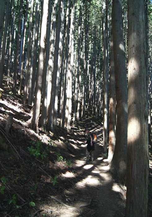 ミリタリー登山　第三弾　雲取山編　その2!!