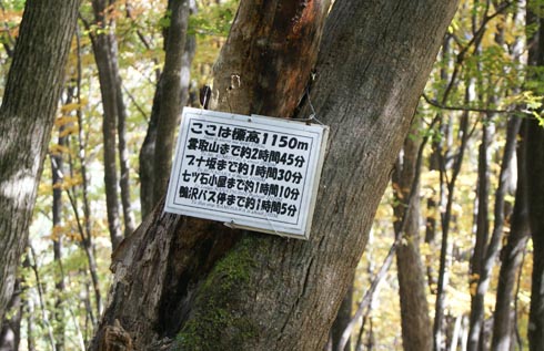 ミリタリー登山　第三弾　雲取山編　その2!!