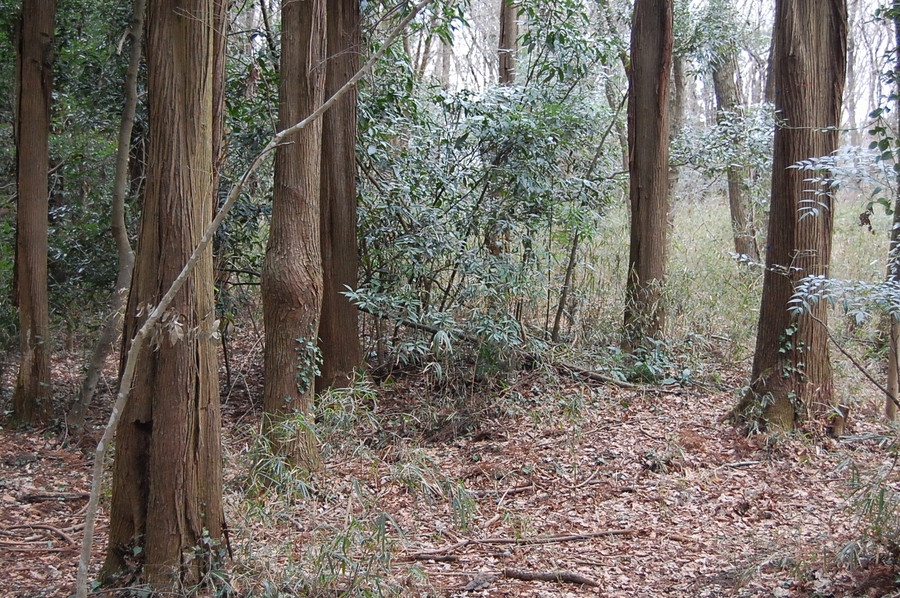 お疲れ様でした!～うしろから～　前編