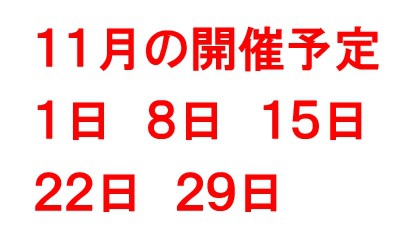 １１月開催予定