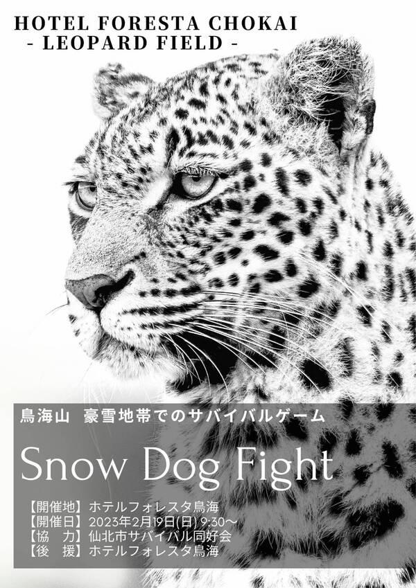 2月8日の記事