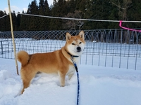 新春撃ち初め