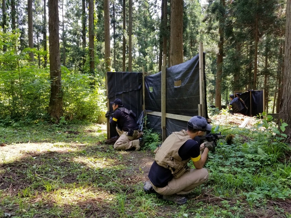 なかなか進めんです