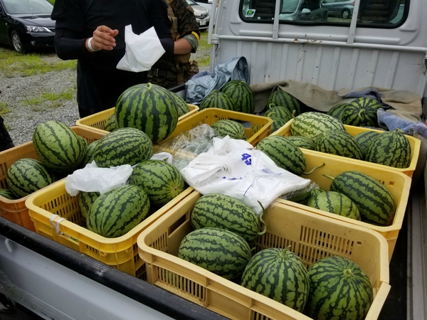 雅なサバゲどす