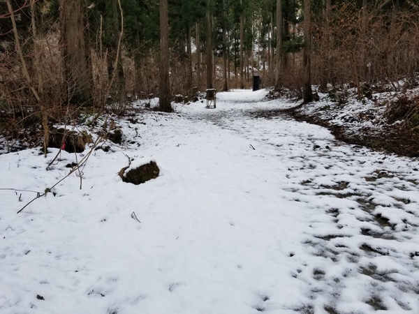 積雪記録なので 積雪記録なので