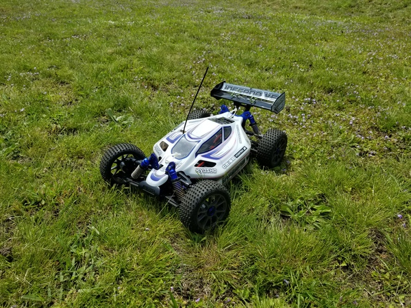 今シーズン初