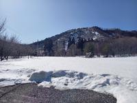 皆様いかがお過ごしでしょうか