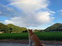 一時休園のお知らせ