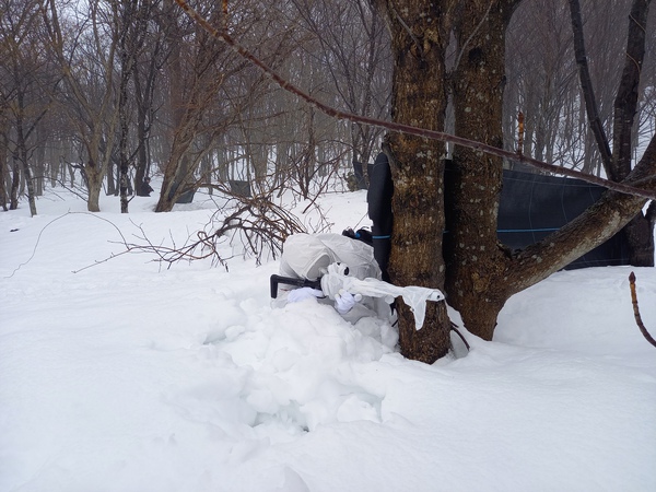 Snow　Dog　Fight