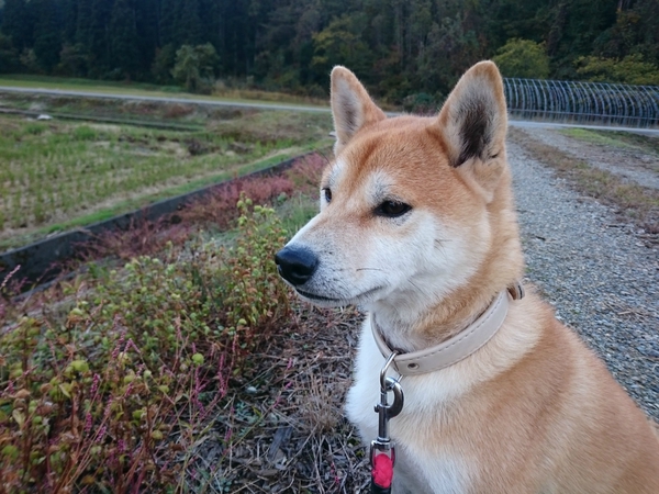 皆様に残念なお知らせです