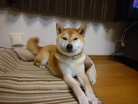 ２月２５日開催です
