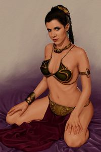 R.I.P.Princess Leia 2016/12/30 09:00:00