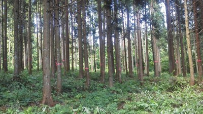 フィールド整備要請