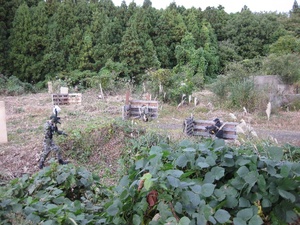 大混戦を潜り抜けろ