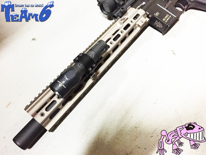 【完成】HK416 SMR Custom Version