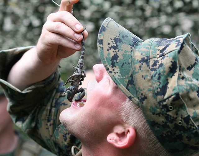 こんな海兵隊員は真似したくない（鉄拳風）その8。