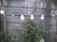 越後屋プレイト・・・ちっちゃあ～。 2012/01/28 12:00:00