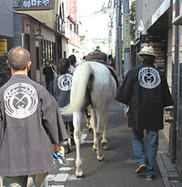 サファリ祭り？ 2013/09/24 11:44:34