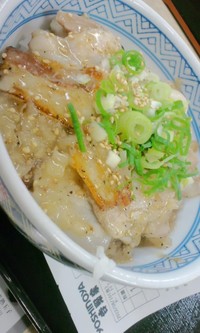 昼ご飯まとめ