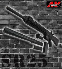 オークションお勧め商品ご紹介【002】「SR25」