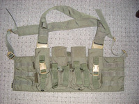 LE Active Shooter Chest Rig