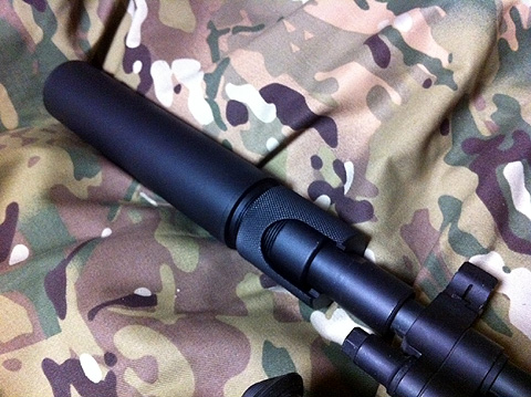 『G&P M14 EBR Mod1 動作確認』