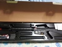 G&G SR25 (GR25) その1