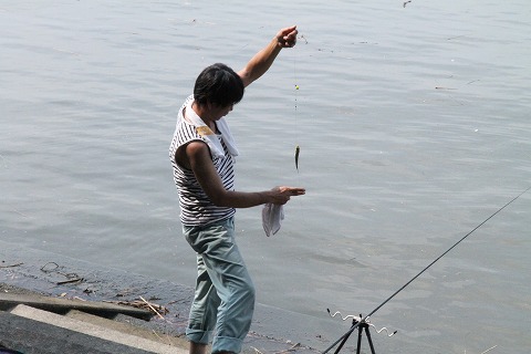 ハゼ釣り　in 江戸川